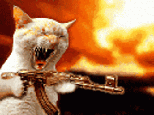 The Funny Cat with a Gun Meme Download for Free