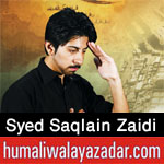 http://www.humaliwalayazadar.com/2017/09/syed-saqlain-zaidi-nohay-2018.html