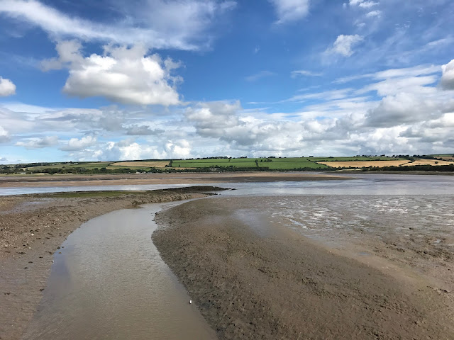 Somewhere along the Tarka Trail, near Bideford, Devon