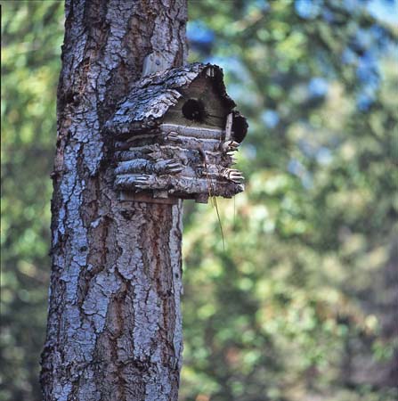 Log Cabin Bird House