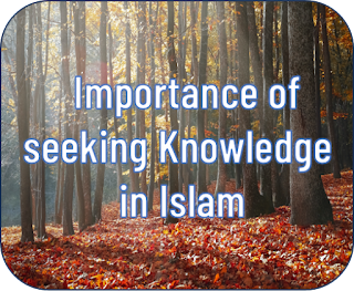 Importance of seeking Knowledge in Islam