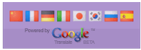 Google Flag Translate Widget For Blogger Blogspot 16