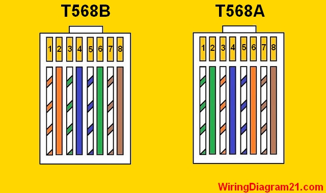 Cat 5 Wiring Diagram 568b