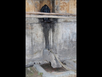 Miracle in India- Cobra praying to Lord Shiva with holy Vilva ( Aegle Marmelops) leaves