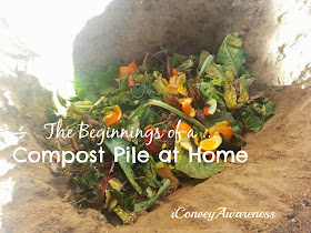 Convey Awareness | My first compost pile in the ground!