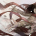 Mikasa Ackerman Shingeki no Kyojin d9