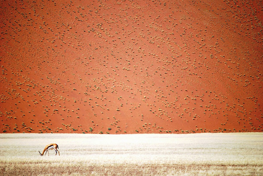 These Are The 35 Best Pictures Of 2016 National Geographic Traveler Photo Contest - Namibian Desert, Namibia