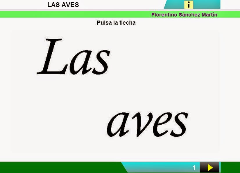  Aves