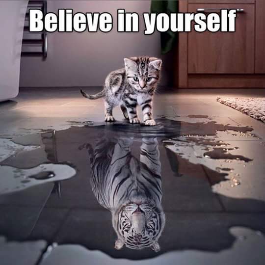 With Jesus, We are Bold as a Tiger!