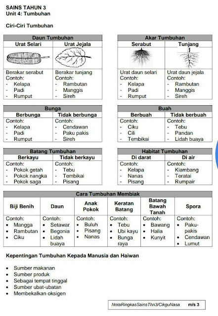 Nota Ringkas Sains Tahun 3 (KSSR) - Kickstory.net