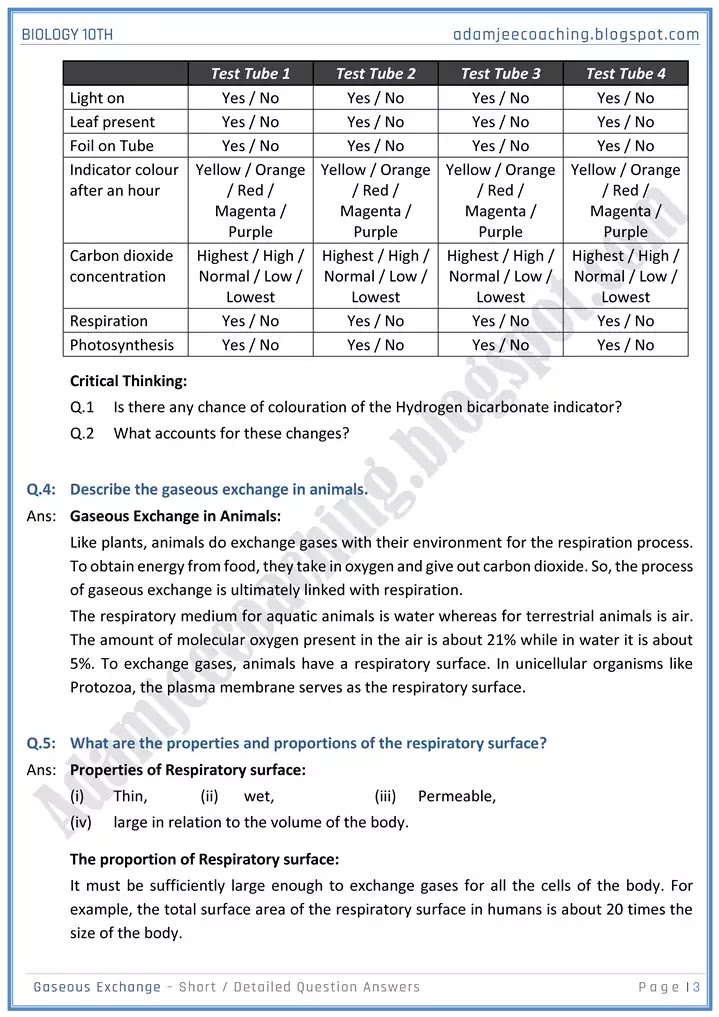 gaseous-exchange-short-and-detailed-answer-questions-biology-10th