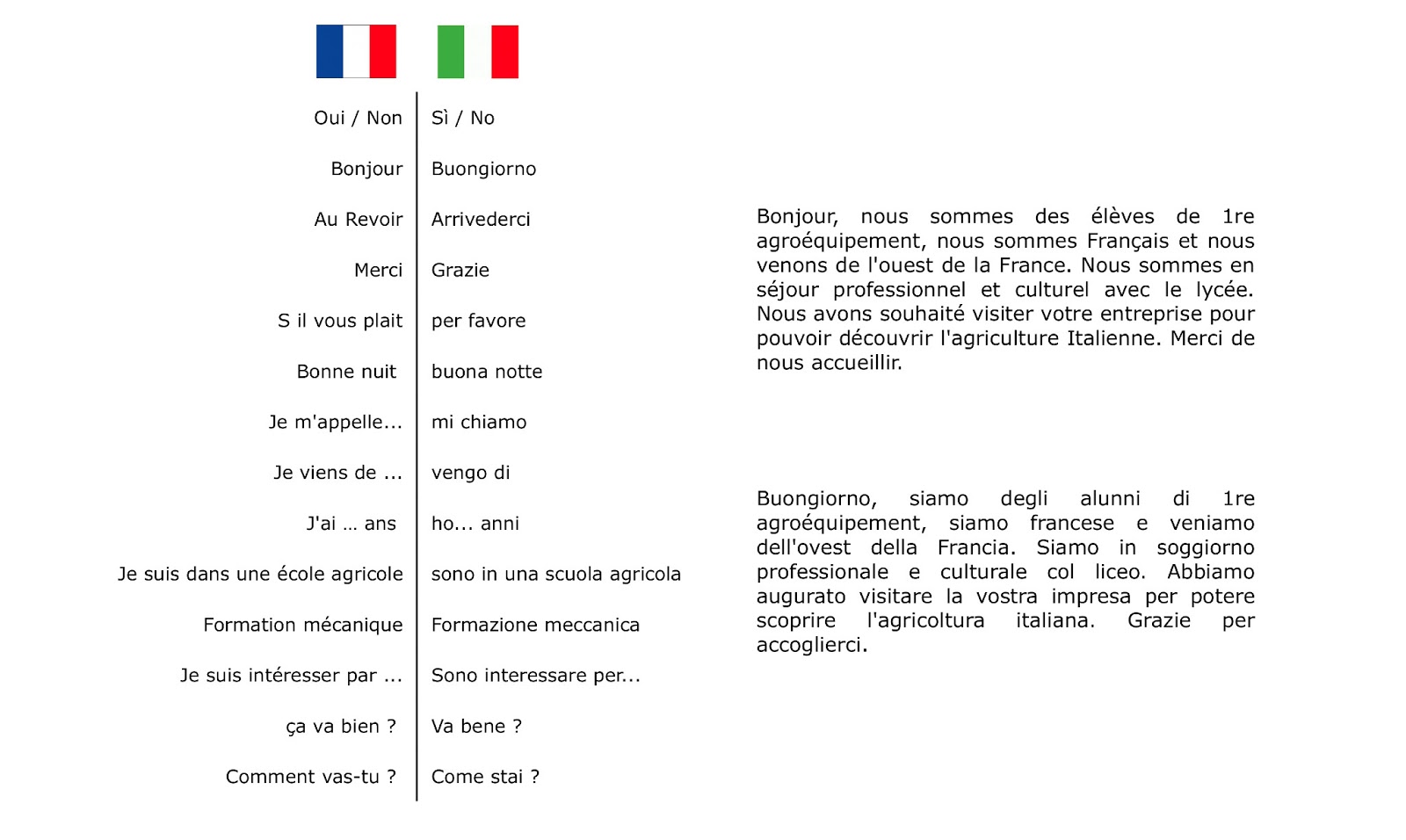 Séjour Professionnel 2013 - ITALIE: Linguistique