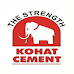  Jobs in Kohat Cement Co Ltd KCCL