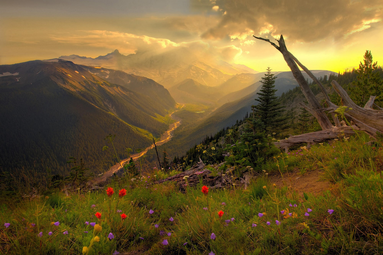 Washington State Wallpaper | The Desktop Wallpaper