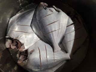 Pomfret fish