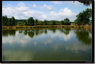 bukit hijau10