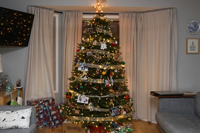 20161223 Christmas house (8) edit