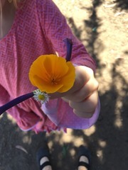 2015-09-05 15.02.44