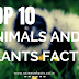 Top 10 Amazing Facts About Animals and Plants