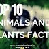 Top 10 Amazing Facts About Animals and Plants