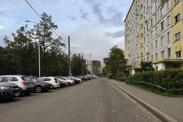Котельники, микрорайон Белая Дача, Кузьминский лесопарк