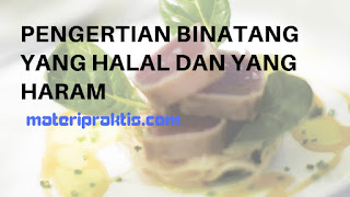 Pengertian Binatang Yang Halal Dan Yang Haram