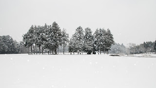 雪景色の牛久市