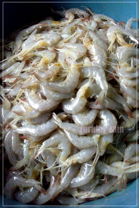 Absolutely Emy: Udang