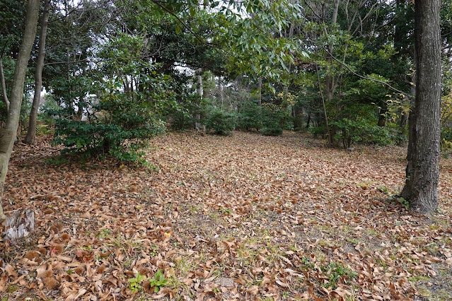 鳥取県西伯郡大山町富岡 むきばんだ史跡公園 弥生の森