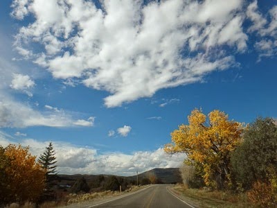 025dev-DSC01367