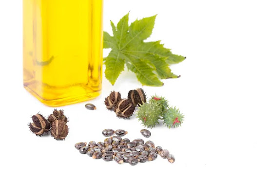 Castor oil in a bottle with some caster seeds lying on floor