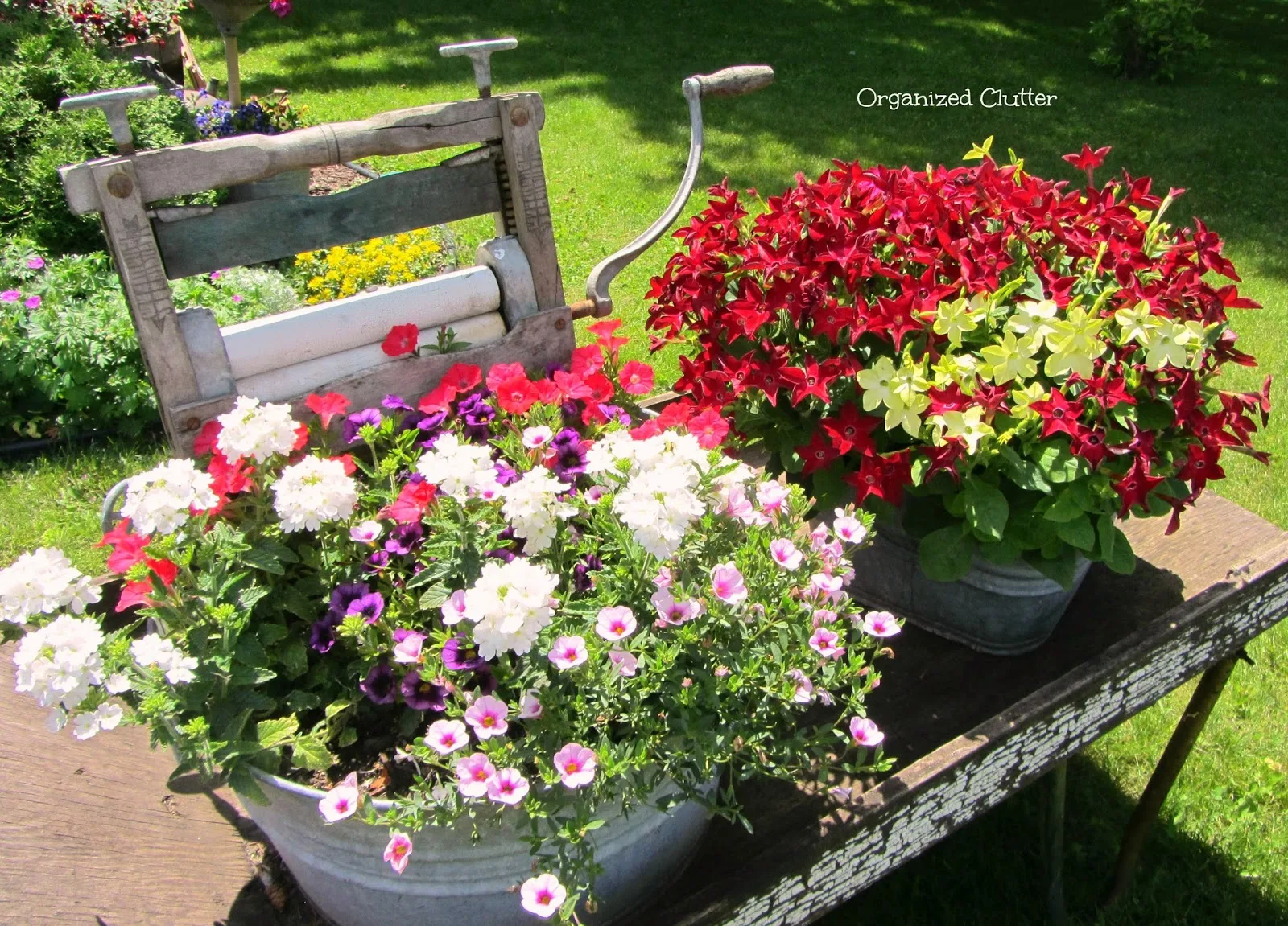 Weathered Wheelbarrow & Laundry Tub Planteres www.organizedclutterqueen.blogspot.com