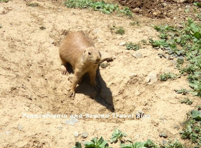 ZooAmerica in Hershey Pennsylvania