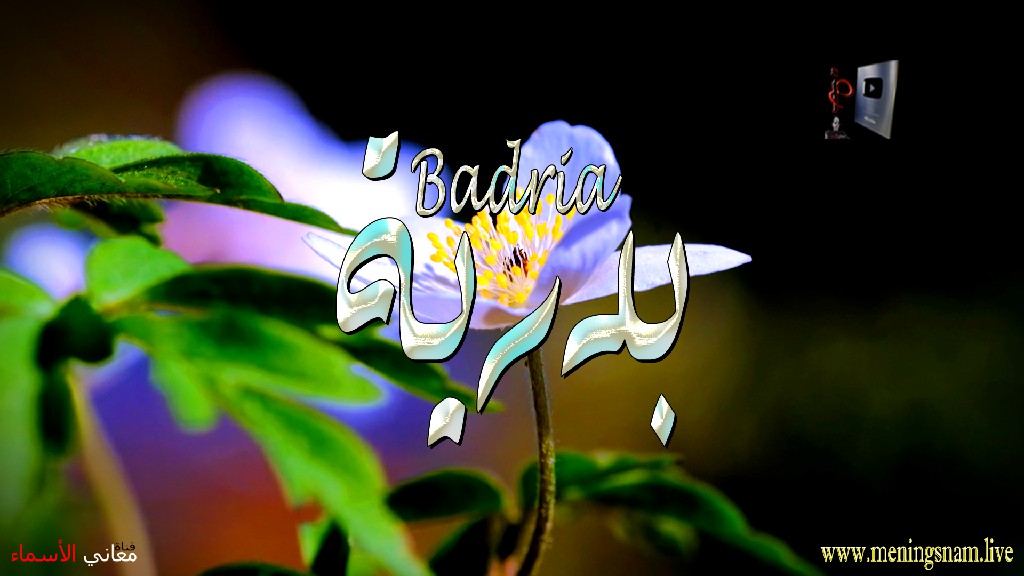 معنى اسم, بدرية, وصفات, حاملة, هذا الاسم, Badria,