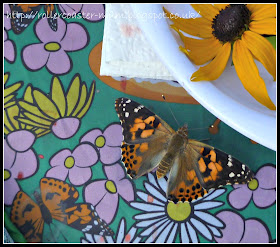 Insect Lore butterfly release