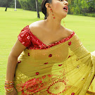 Meera Jasmine in Green Saree  Spicy Photo Set