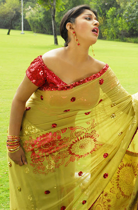 meera jasmine in saree