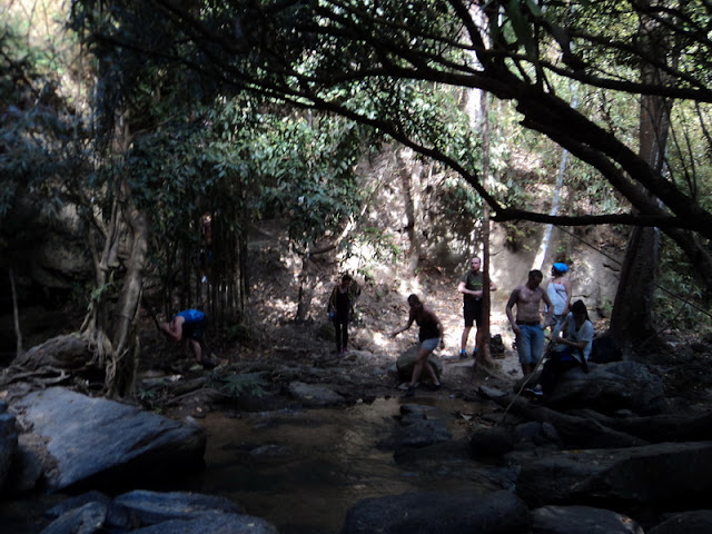 Two-Day Trek at Doi Pha Ngam, trek at doi phan gam, trekking at doi phan gam, 2 days trek at doi phan gam, chiang mai trekking, trekking in chiang mai