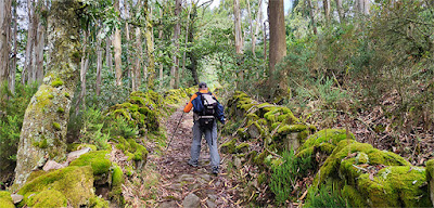 Camino de Outeiro Camino de Outeiro