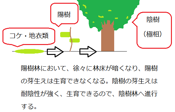 矢口はっぴーブログ わかりやすい高校生物基礎 生物まとめ 過去の記事に授業 講習の内容があります 質問はyoutube講義動画のコメント欄にお願いします 7月 16