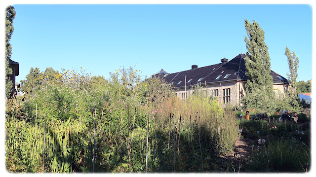 Oldemors hage i Botanisk hage på Tøyen i Bydel Gamle Oslo.