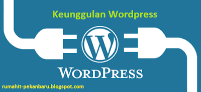 keunggulan wordpress