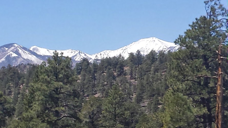 Mountain covered with ash