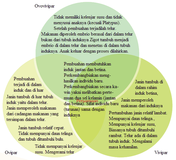 Perbedaan dan  Persamaan Ovipar  Vivipar  dan  Ovovivipar 