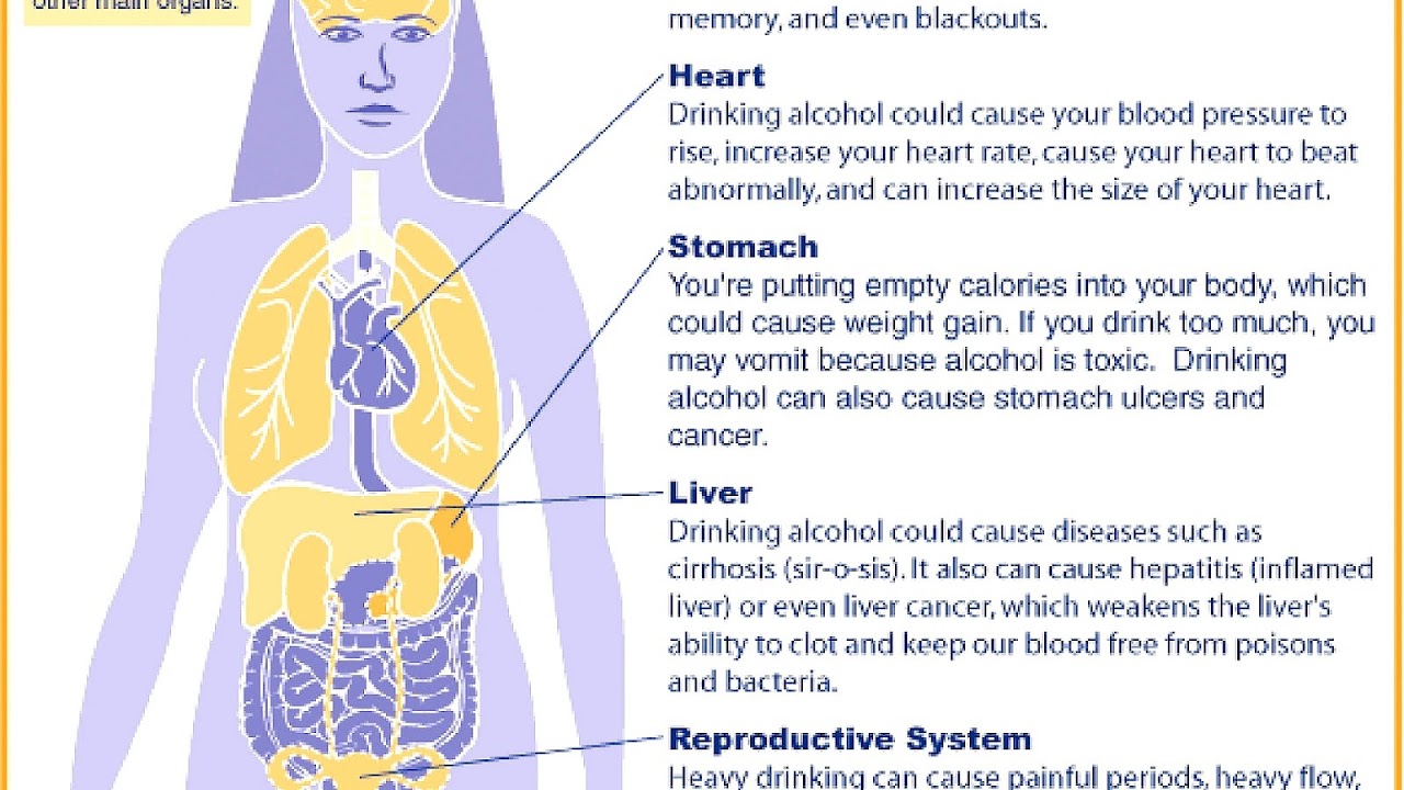 How Alcohol Affects Your Body