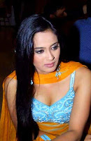 Bollywood Celebrities Girl Shweta Tiwari