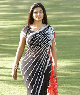 South Indian Actress in Black Saree Photos Sneha