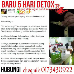 set detox shaklee