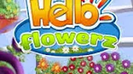 Hello Flowerz