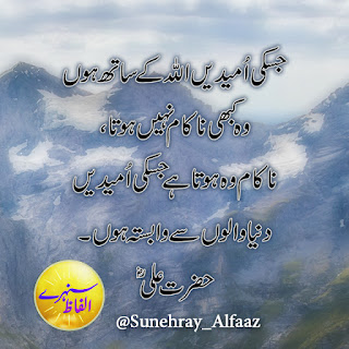 hazrat ali quotes in urdu